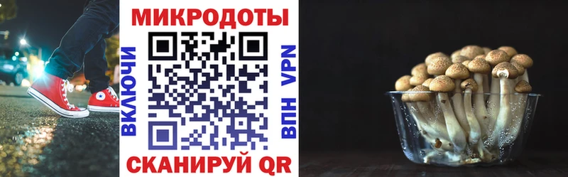 Галлюциногенные грибы Psilocybe Ясный